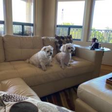 people looking to talk