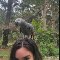 people looking to talk