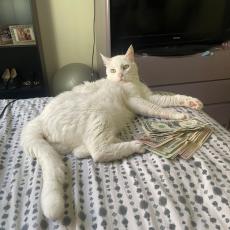 people looking to talk