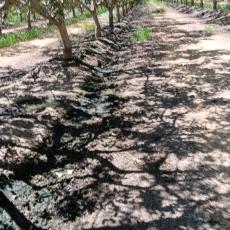 people looking to talk