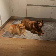 people looking to talk