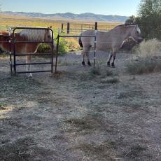 people looking to talk