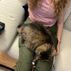 people looking to talk