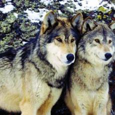 people looking to talk