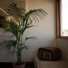 people looking to talk