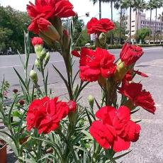 people looking to talk