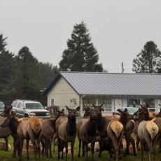 people looking to talk