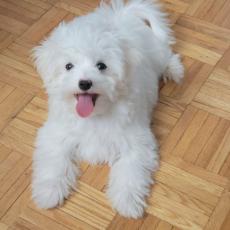 people looking to talk