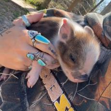 people looking to talk