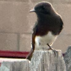 people looking to talk