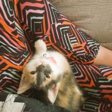 people looking to talk