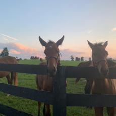 people looking to talk