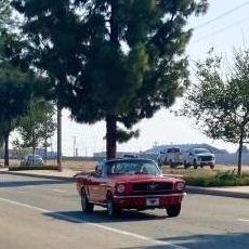 people looking to talk