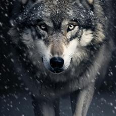 people looking to talk