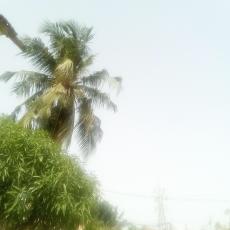 more prospect