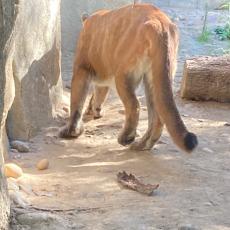 people looking to talk