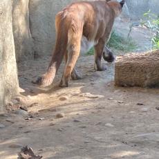 people looking to talk