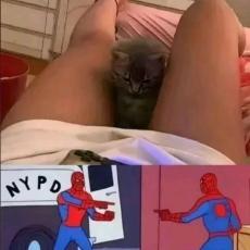 Man image