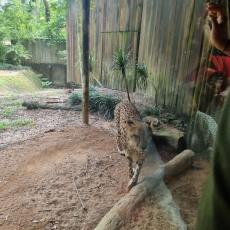 Man image