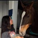 user